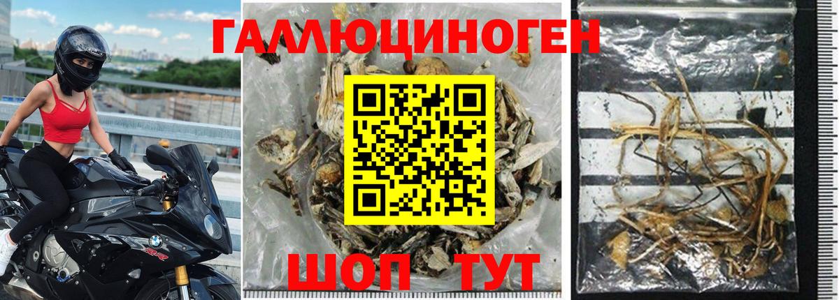 где продают наркотики  Псилоцибиновые грибы GOLDEN TEACHER  Вход с VPN  Галлюциногенные грибы Magic Shrooms  Серов 